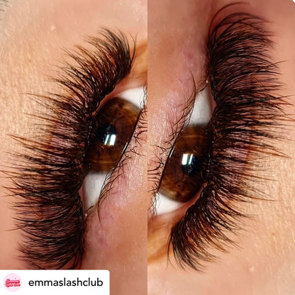 Cookie Dough Brown Coloured Lashes MIXED LENGTH