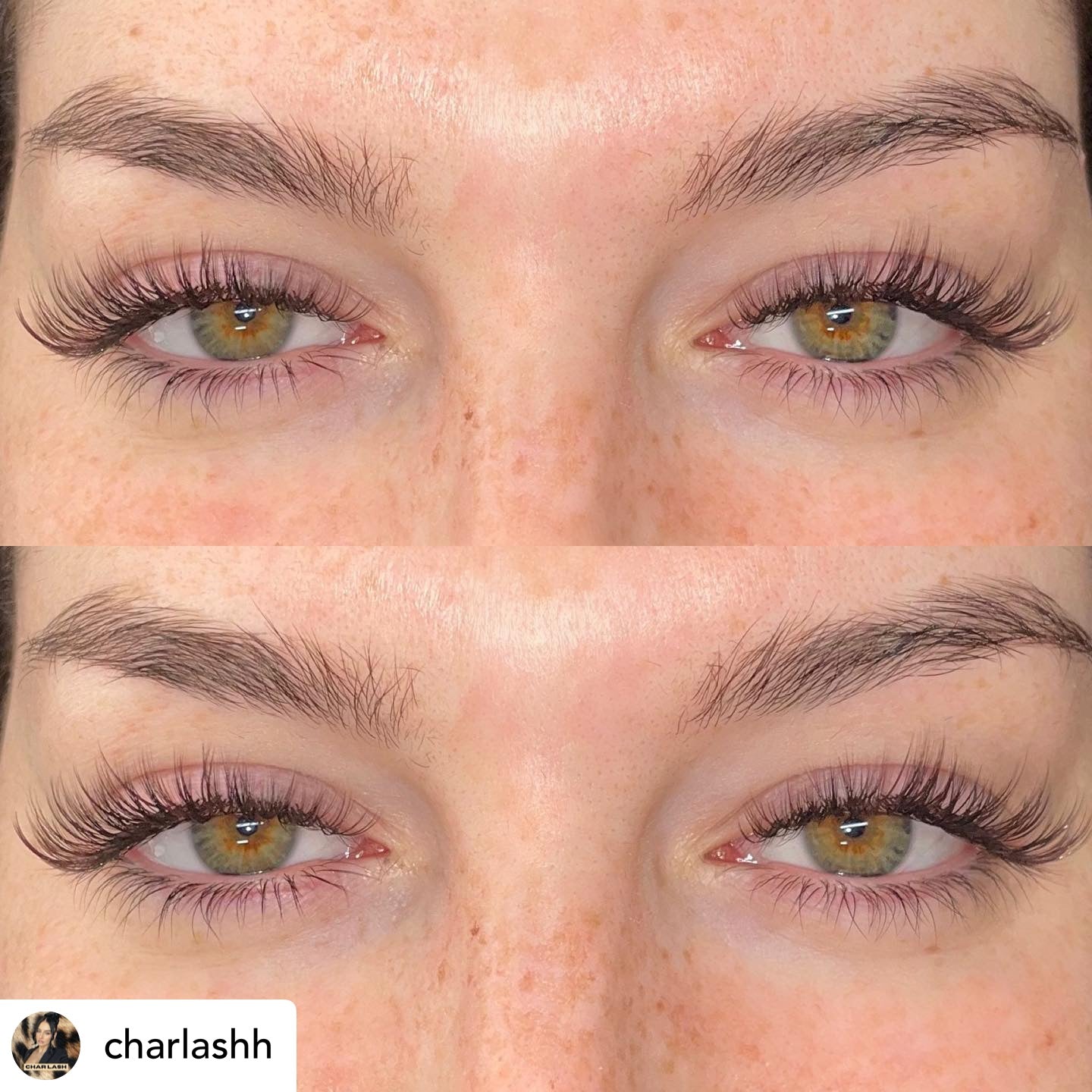 Cookie Dough Brown Coloured Lashes MIXED LENGTH